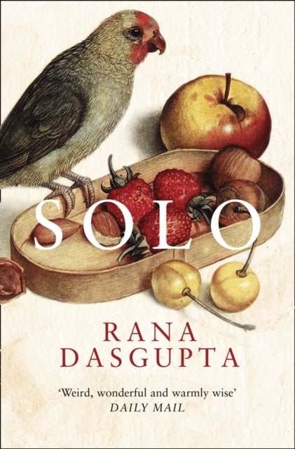 Book cover of: Solo. By: RANA DASGUPTA