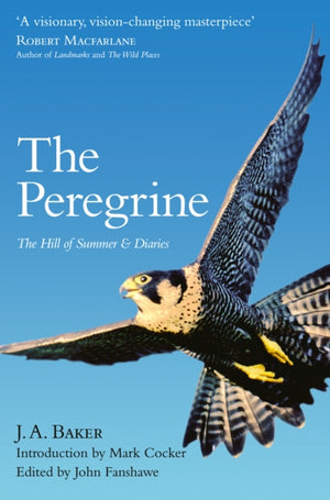 Peregrine, The Hill of Summer & Diaries: the Complete Works of J. A. Baker