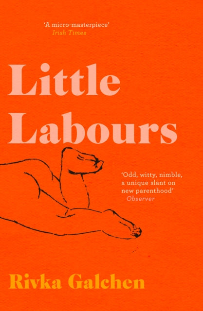 Book cover of: Little Labours. By: Rivka Galchen