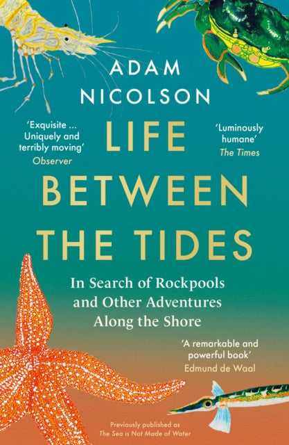 Life Between the Tides, In Search of Rockpools and Other Adventures Along the Shore 9780008294816 Adam Nicolson