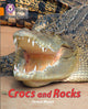 Book cover of: Crocs and Rocks. By: Teresa Heapy
