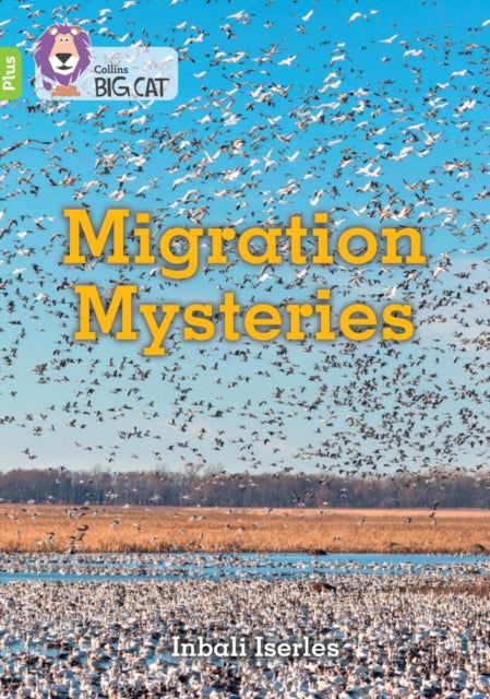 Book cover of: Migration Mysteries. By: Inbali Iserles