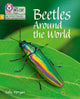 Book cover of: Beetles Around the World. By: Sally Morgan