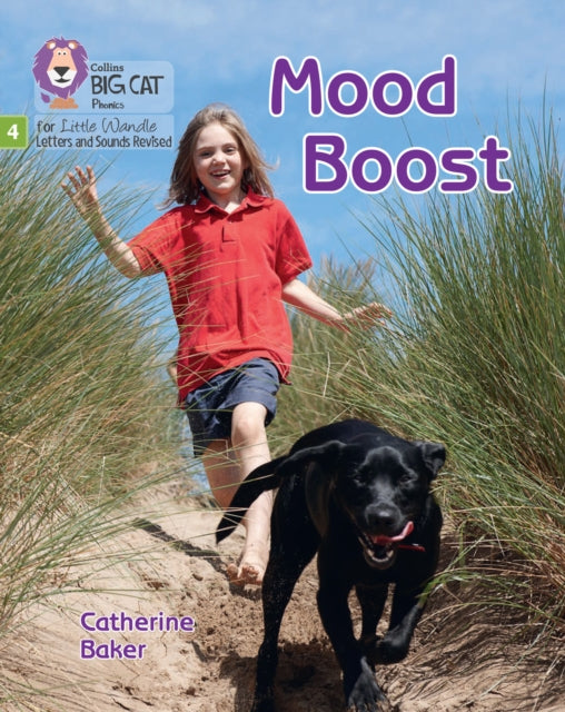 Mood Boost, Phase 4 Set 2 Stretch and Challenge 9780008540425 Collins Big Cat