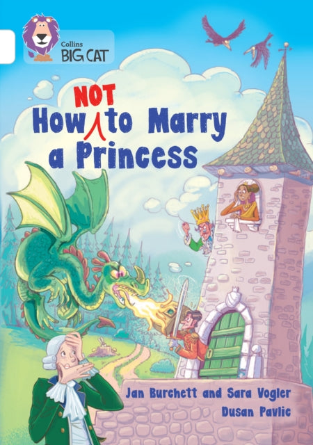 Book cover of: How Not to Marry a Princess. By: Jan Burchett