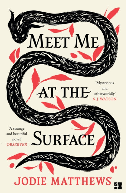 Meet Me at the Surface 9780008585051 Jodie Matthews