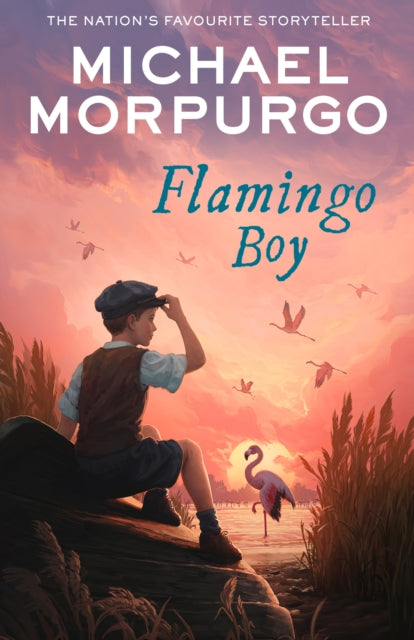 Book cover of: Flamingo Boy