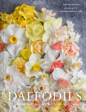 Daffodils, Beautiful Varieties for Home and Garden