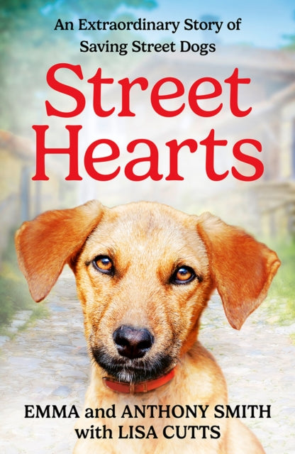 Book cover of: Street Hearts. By: Emma Smith