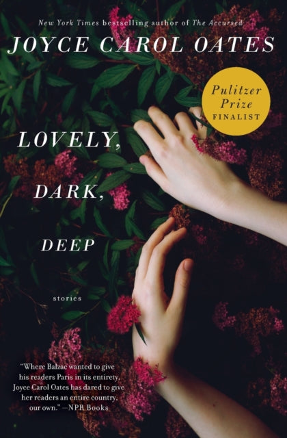 Book cover of: Lovely, Dark, Deep. By: Joyce Carol Oates
