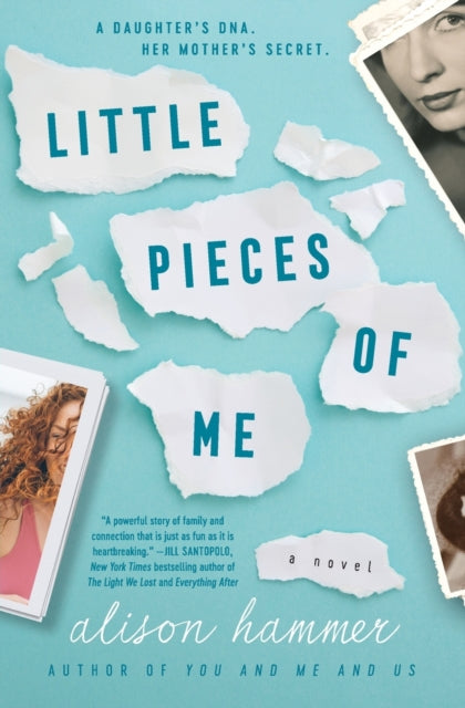 Book cover of: Little Pieces of Me. By: Alison Hammer