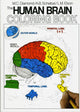 Book cover of: Human Brain Coloring Book