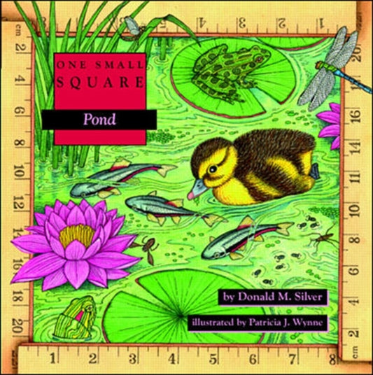 Book cover of: Pond. By: Donald M. Silver