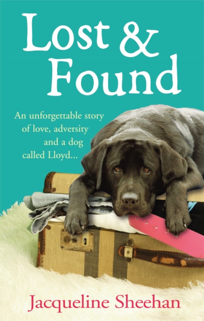 Book cover of: Lost & Found. By: Jacqueline Sheehan