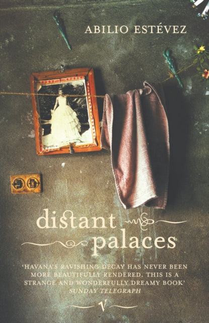 Book cover of: Distant Palaces