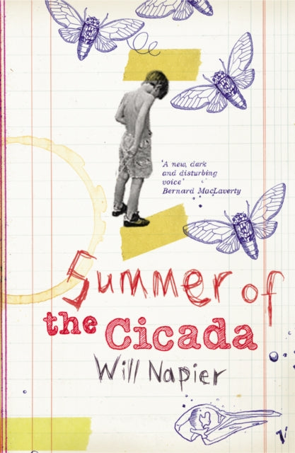 Book cover of: Summer Of The Cicada. By: Will Napier        
