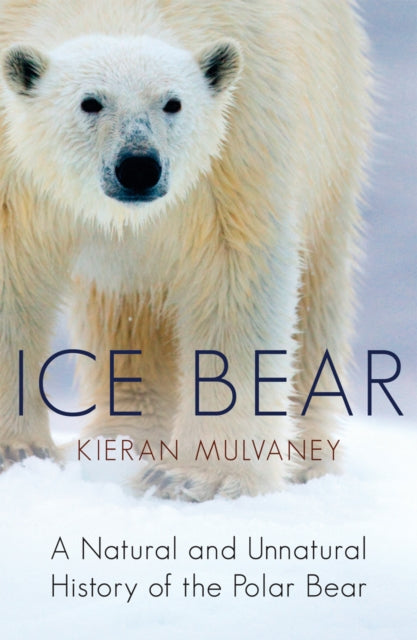 Book cover of: Ice Bear. By: Kieran Mulvaney