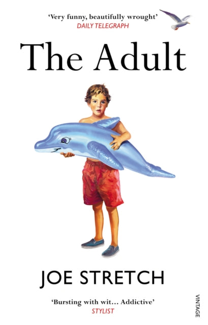 Book cover of: Adult. By: Joe Stretch