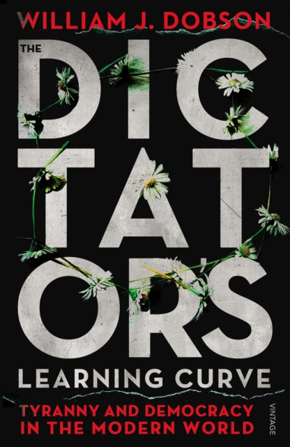 The Dictator's Learning Curve