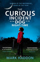 Curious Incident of the Dog in the Night-time