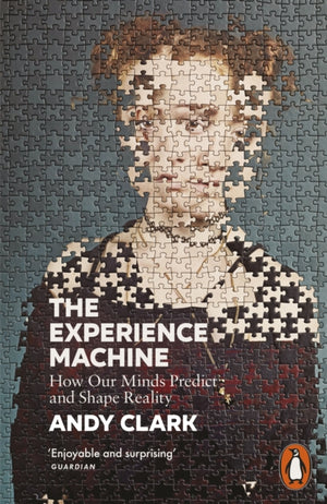 Experience Machine, How Our Minds Predict and Shape Reality