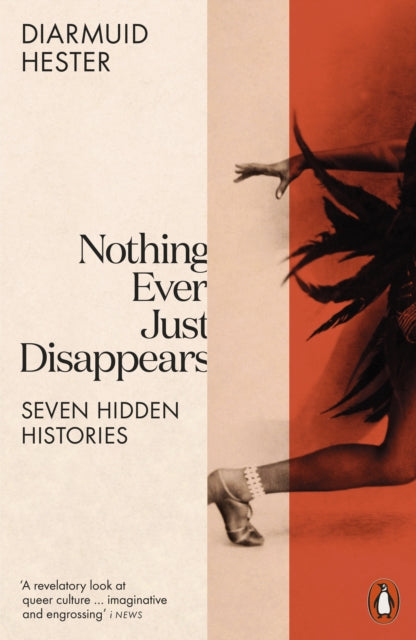 Book cover of: Nothing Ever Just Disappears. By: Diarmuid Hester