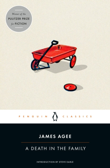 Book cover of: Death in the Family. By: James Agee