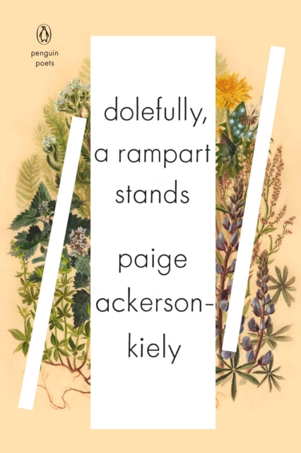 Book cover of: Dolefully, A Rampart Stands. By: Paige Ackerson-Kiely