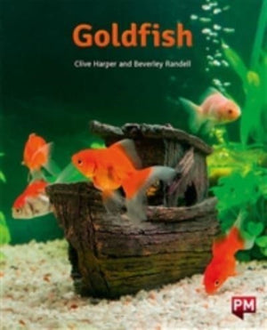 PM ORANGE GOLDFISH N FIC LEV16