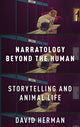 Book cover of: Narratology beyond the Human. By: David Herman