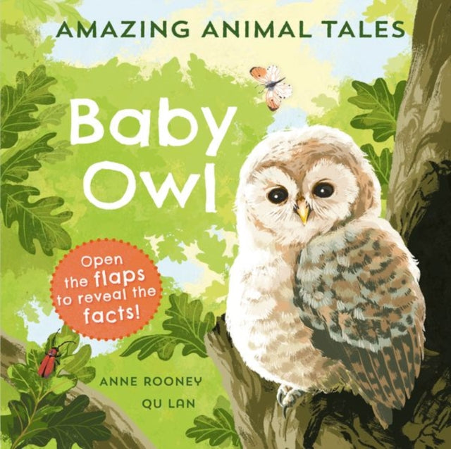 Book cover of: Amazing Animal Tales: Baby Owl. By: Anne Rooney