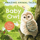 Book cover of: Amazing Animal Tales: Baby Owl. By: Anne Rooney