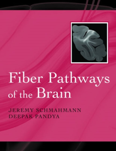 Book cover of: Fiber Pathways of the Brain. By: Jeremy D. Schmahmann
