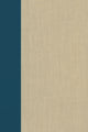 Book cover of: Terrorism Documents of International and Local Control: Volume 89. By: Douglas C. Lovelace Jr