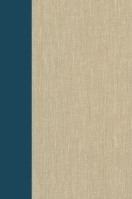 Book cover of: Terrorism Documents of International and Local Control: Volume 88. By: Douglas C. Lovelace Jr
