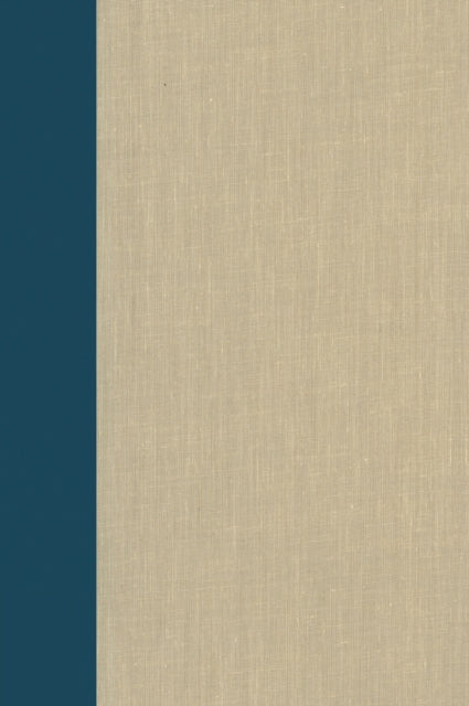 Book cover of: Terrorism Documents of International and Local Control: Volume 95. By: Douglas C. Lovelace Jr.
