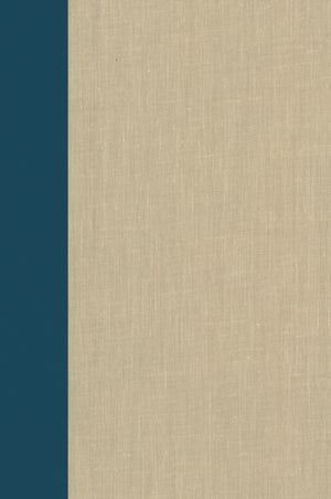 Terrorism Documents of International and Local Control: Volume 95