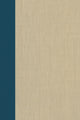 Book cover of: Terrorism Documents of International and Local Control Volume 99. By: Douglas C. Lovelace Jr.