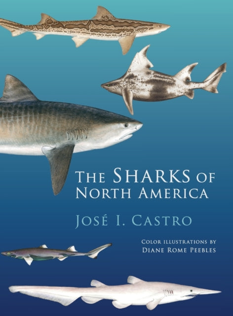 Book cover of: Sharks of North America. By: José I. Castro