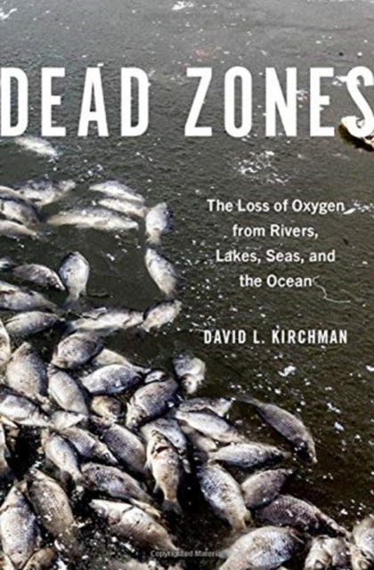 Book cover of: Dead Zones. By: David L. Kirchman