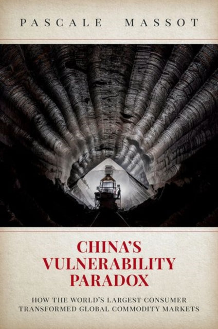 Book cover of: China's Vulnerability Paradox. By: Pascale Massot