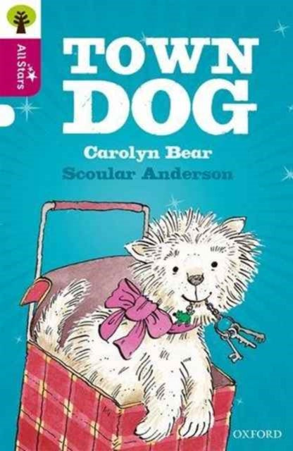 Book cover of: Oxford Reading Tree All Stars: Oxford Level 10 Town Dog. By: Carolyn Bear