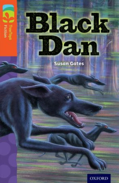 Book cover of: Oxford Reading Tree TreeTops Fiction: Level 13 More Pack A: Black Dan