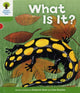 Book cover of: Oxford Reading Tree: Level 2: More Patterned Stories A: What Is It?. By: Roderick Hunt