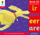 Book cover of: Oxford Reading Tree: Level 4: Floppy's Phonics: Sounds and Letters: Book 23. By: Debbie Hepplewhite