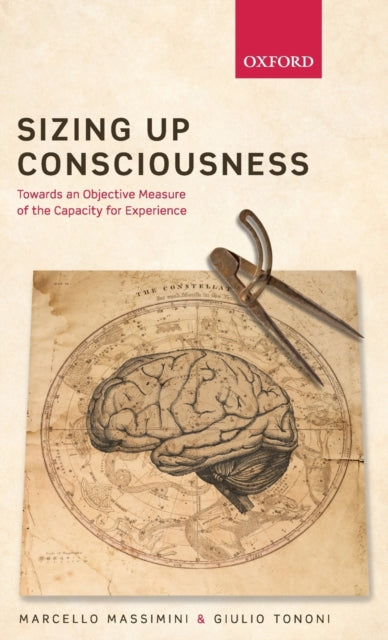Book cover of: Sizing up Consciousness. By: Marcello Massimini