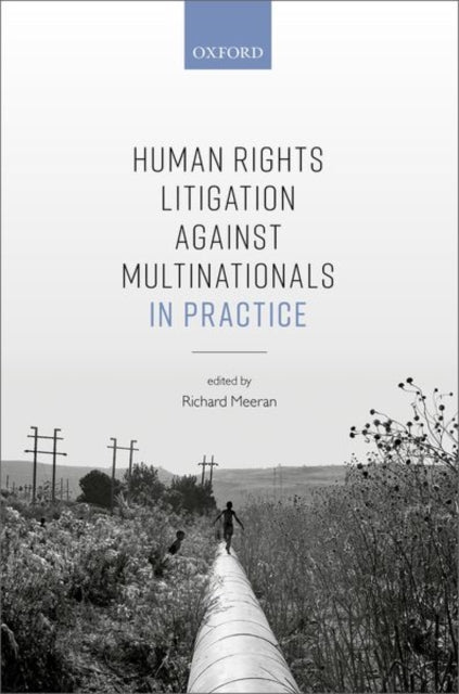 Book cover of: Human Rights Litigation against Multinationals in Practice. By: Richard Meeran