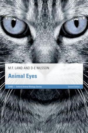 Animal Eyes