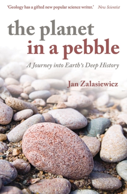 Planet in a Pebble