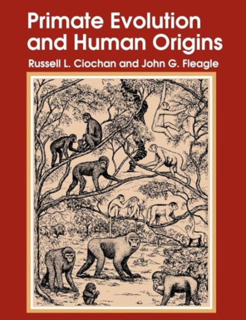 Book cover of: Primate Evolution and Human Origins
